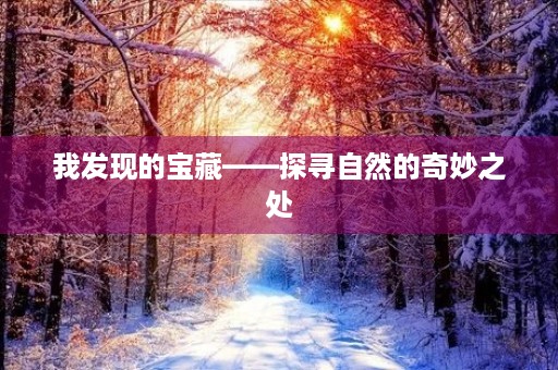 我发现的宝藏——探寻自然的奇妙之处 我发现的宝藏——探寻自然的奇妙之处