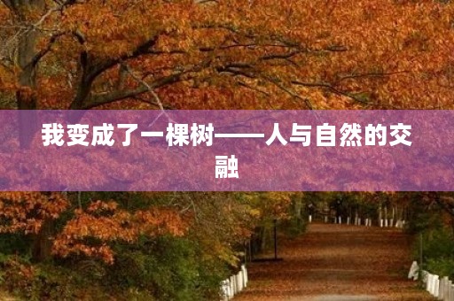 我变成了一棵树——人与自然的交融