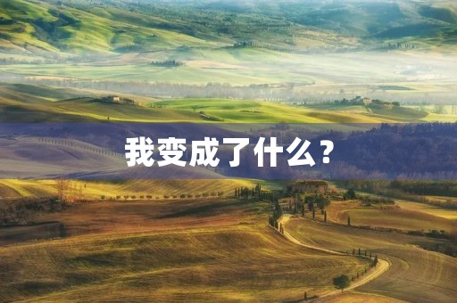 我变成了什么？