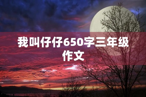 我叫仔仔650字三年级作文