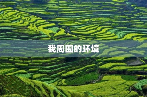 我周围的环境 我周围的环境