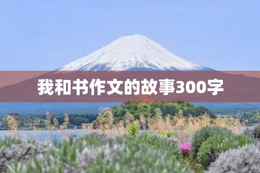 我和书作文的故事300字