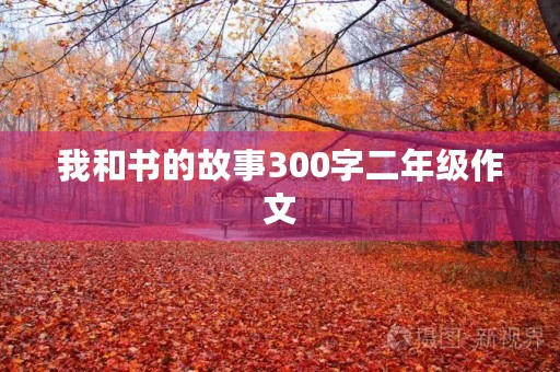 我和书的故事300字二年级作文
