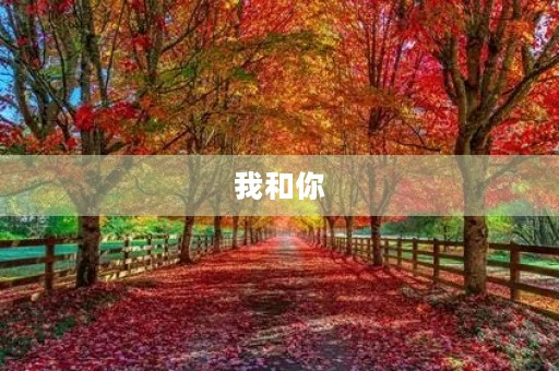 我和你，相伴一生