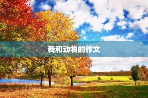 我和动物的作文 我和动物的作文