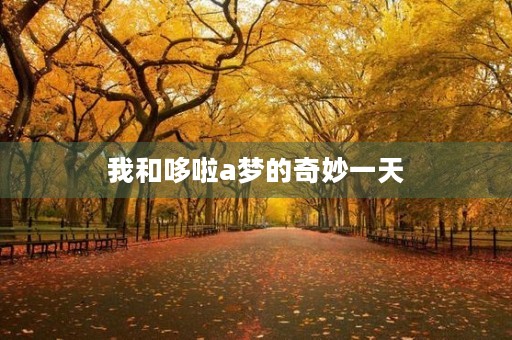 我和哆啦a梦的奇妙一天 我和哆啦a梦的奇妙一天