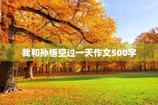 我和孙悟空过一天作文500字 我和孙悟空过一天作文500字
