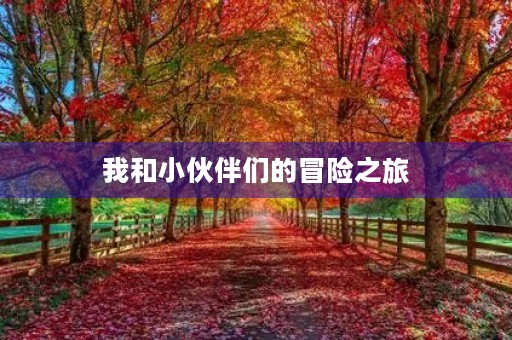 我和小伙伴们的冒险之旅 我和小伙伴们的冒险之旅