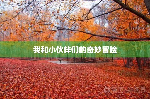 我和小伙伴们的奇妙冒险