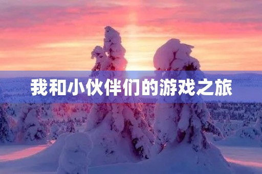 我和小伙伴们的游戏之旅
