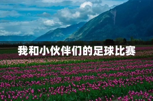 我和小伙伴们的足球比赛