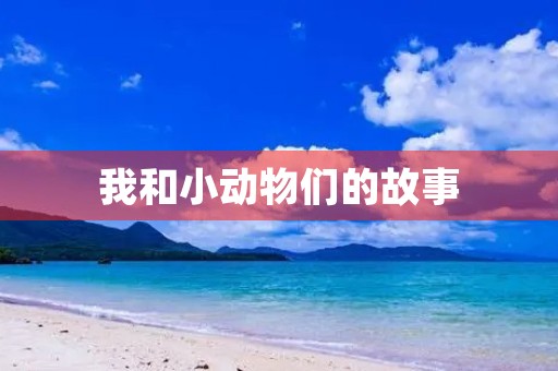 我和小动物们的故事 我和小动物们的故事
