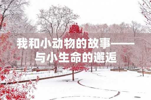 我和小动物的故事——与小生命的邂逅 我和小动物的故事——与小生命的邂逅