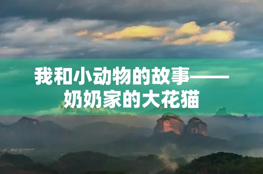 我和小动物的故事——奶奶家的大花猫 我和小动物的故事——奶奶家的大花猫