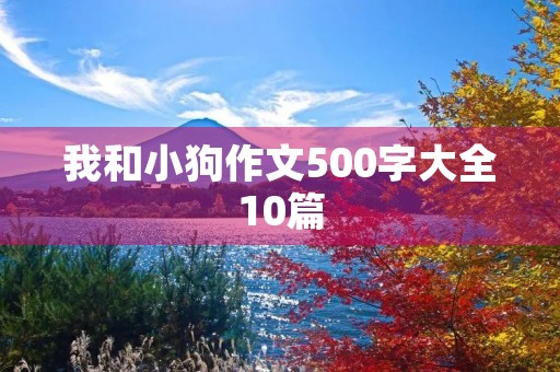 我和小狗作文500字大全10篇