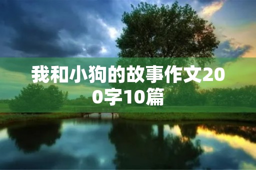 我和小狗的故事作文200字10篇
