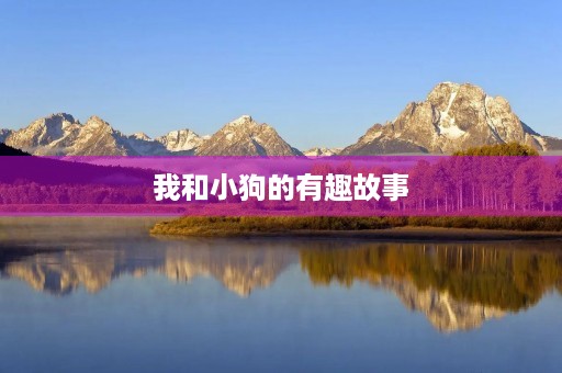 我和小狗的有趣故事 我和小狗的有趣故事