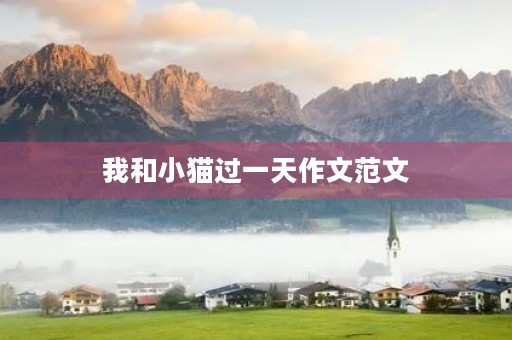 我和小猫过一天作文范文