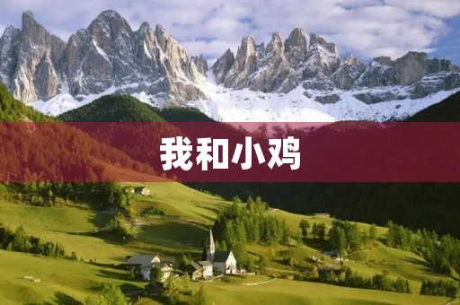 我和小鸡