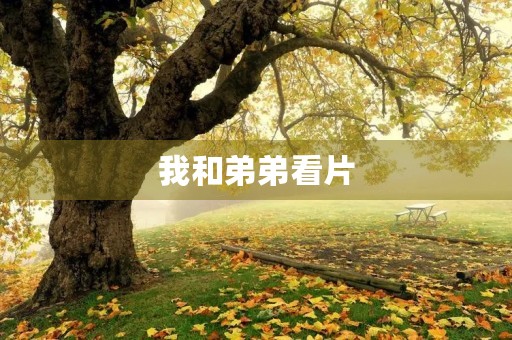 我和弟弟看片