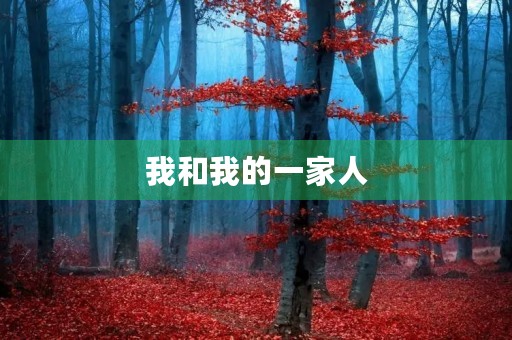 我和我的一家人