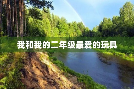 我和我的二年级最爱的玩具