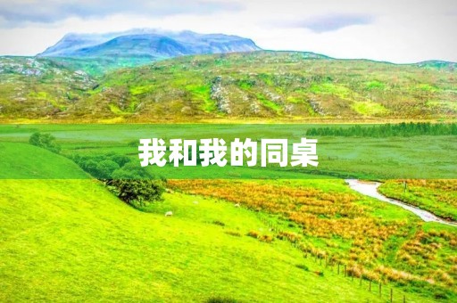 我和我的同桌