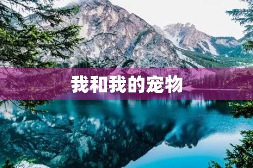 我和我的宠物 我和我的宠物
