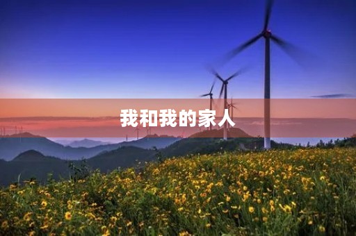 我和我的家人 我和我的家人