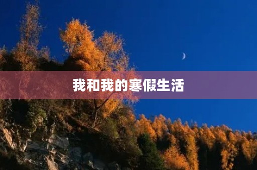 我和我的寒假生活