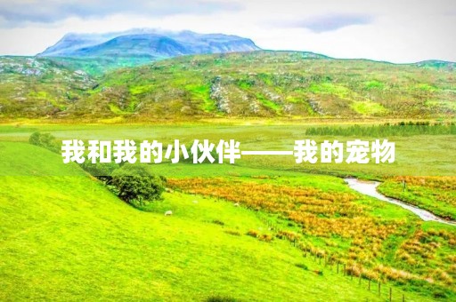 我和我的小伙伴——我的宠物 我和我的小伙伴——我的宠物