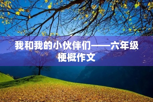 我和我的小伙伴们——六年级梗概作文