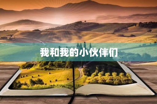 我和我的小伙伴们 我和我的小伙伴们