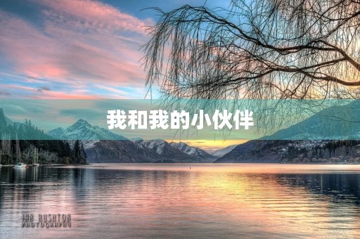 我和我的小伙伴