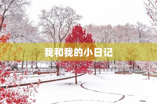 我和我的小日记