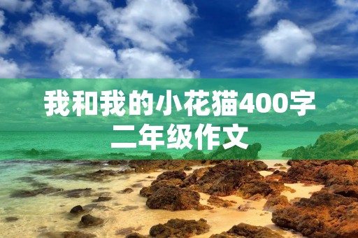 我和我的小花猫400字二年级作文