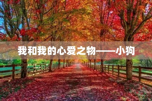 我和我的心爱之物——小狗 我和我的心爱之物——小狗
