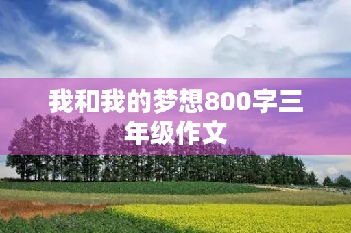 我和我的梦想800字三年级作文