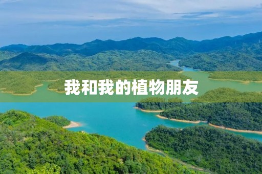 我和我的植物朋友 我和我的植物朋友