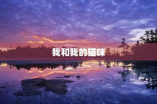 我和我的猫咪 我和我的猫咪