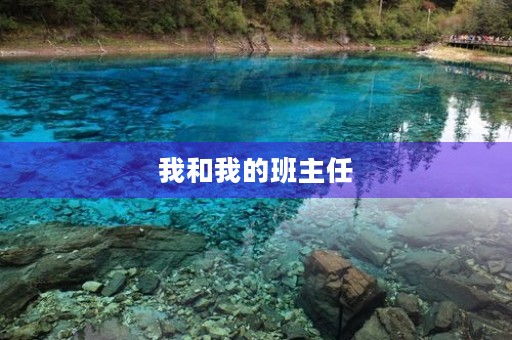 我和我的班主任 我和我的班主任