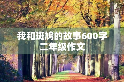 我和斑鸠的故事600字二年级作文