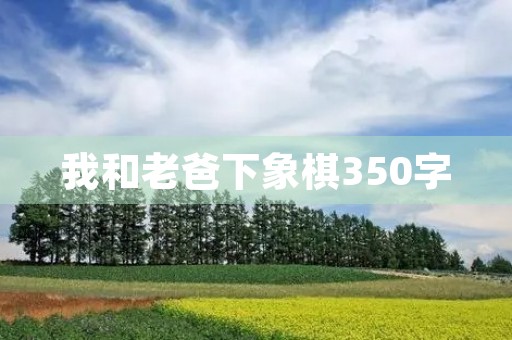 我和老爸下象棋350字