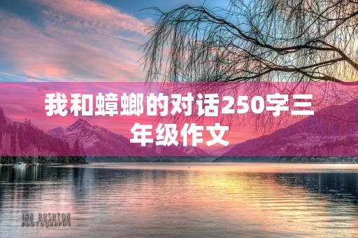 我和蟑螂的对话250字三年级作文