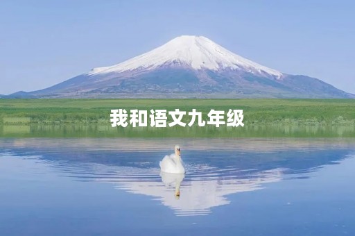 我和语文九年级