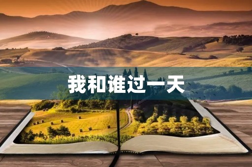 我和谁过一天 我和谁过一天