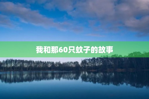 我和那60只蚊子的故事 我和那60只蚊子的故事