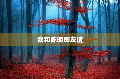 我和陈明的友谊 我和陈明的友谊