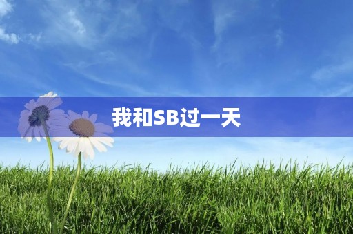 我和SB过一天 我和SB过一天