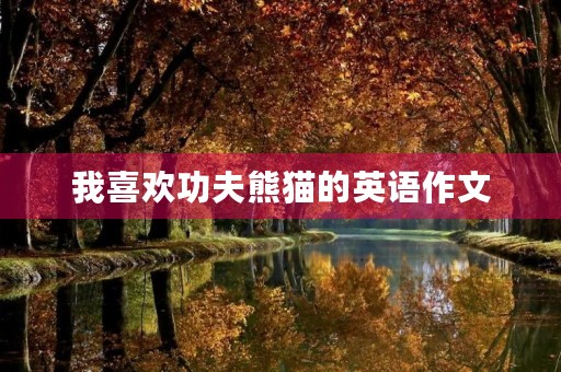 我喜欢功夫熊猫的英语作文